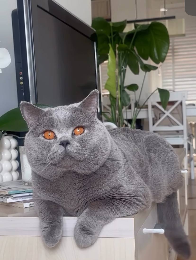 piki